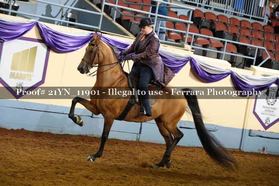 Proof 21YN_11901