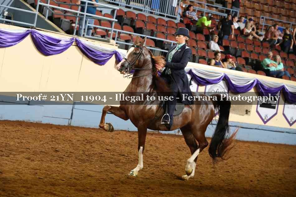 Proof 21YN_11904