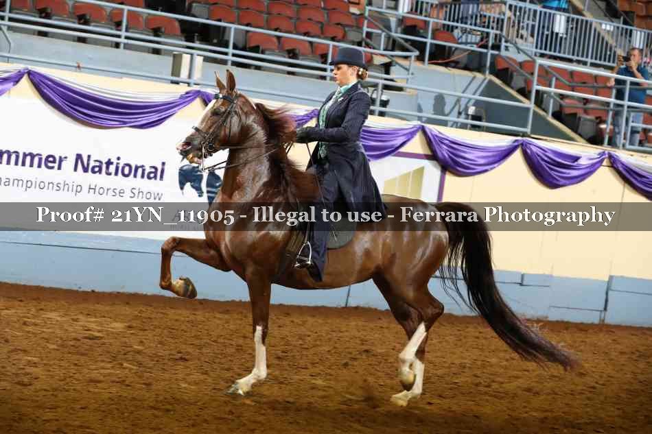 Proof 21YN_11905