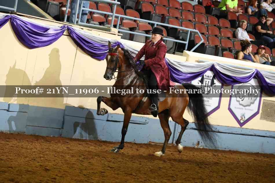 Proof 21YN_11906