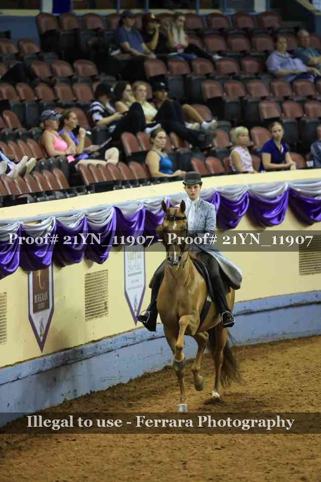 Proof 21YN_11907