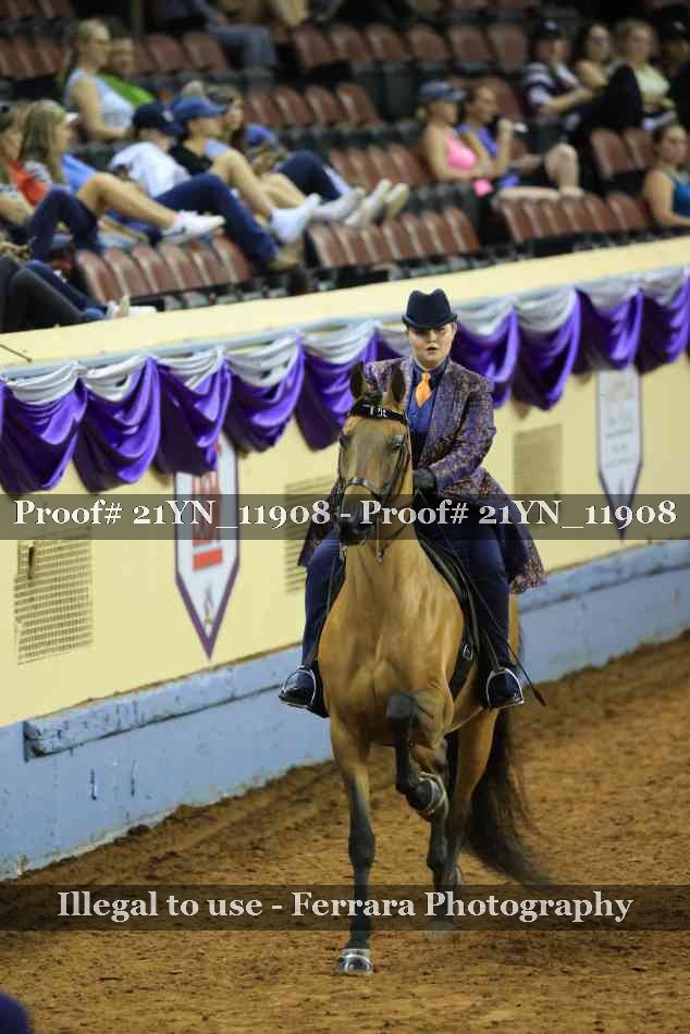 Proof 21YN_11908