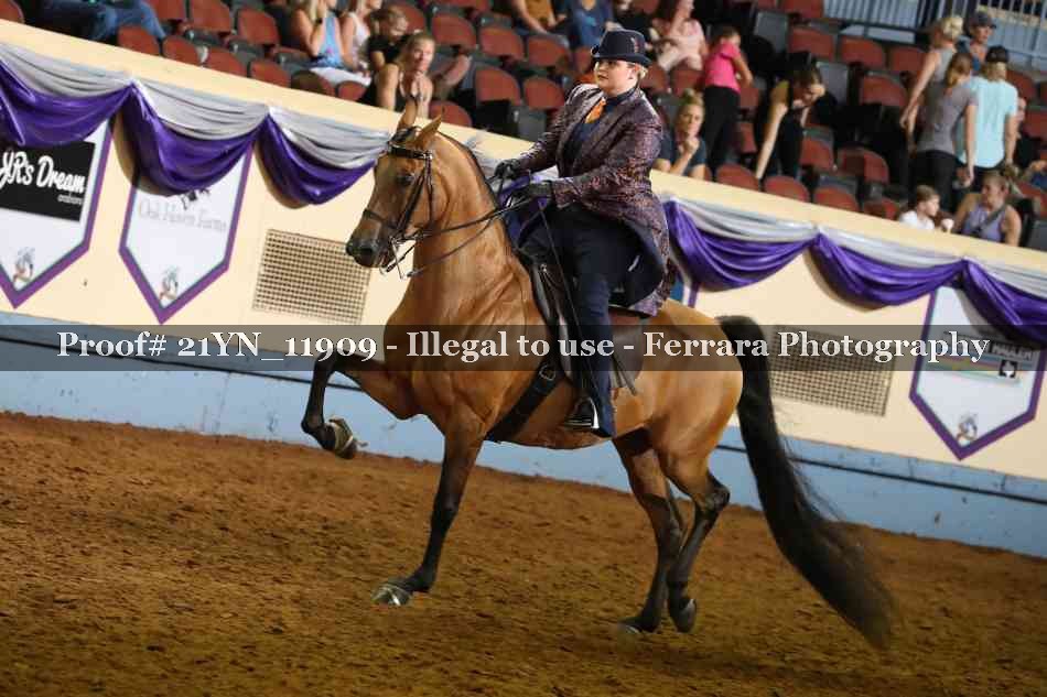 Proof 21YN_11909