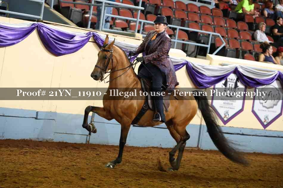 Proof 21YN_11910