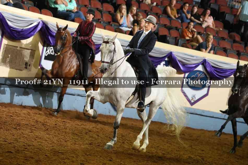 Proof 21YN_11911