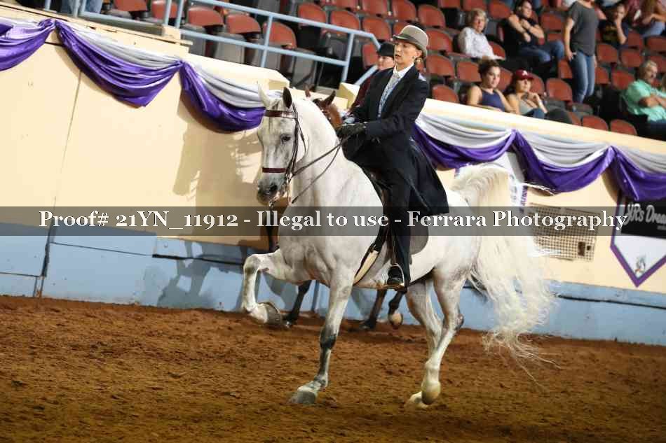 Proof 21YN_11912