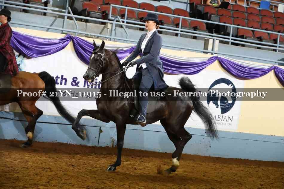 Proof 21YN_11915
