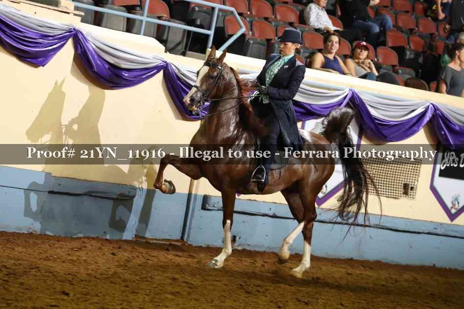Proof 21YN_11916