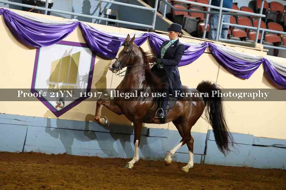 Proof 21YN_11917