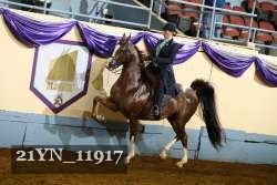 21YN_11917 proof