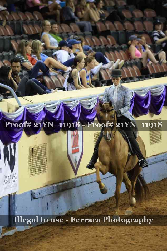 Proof 21YN_11918
