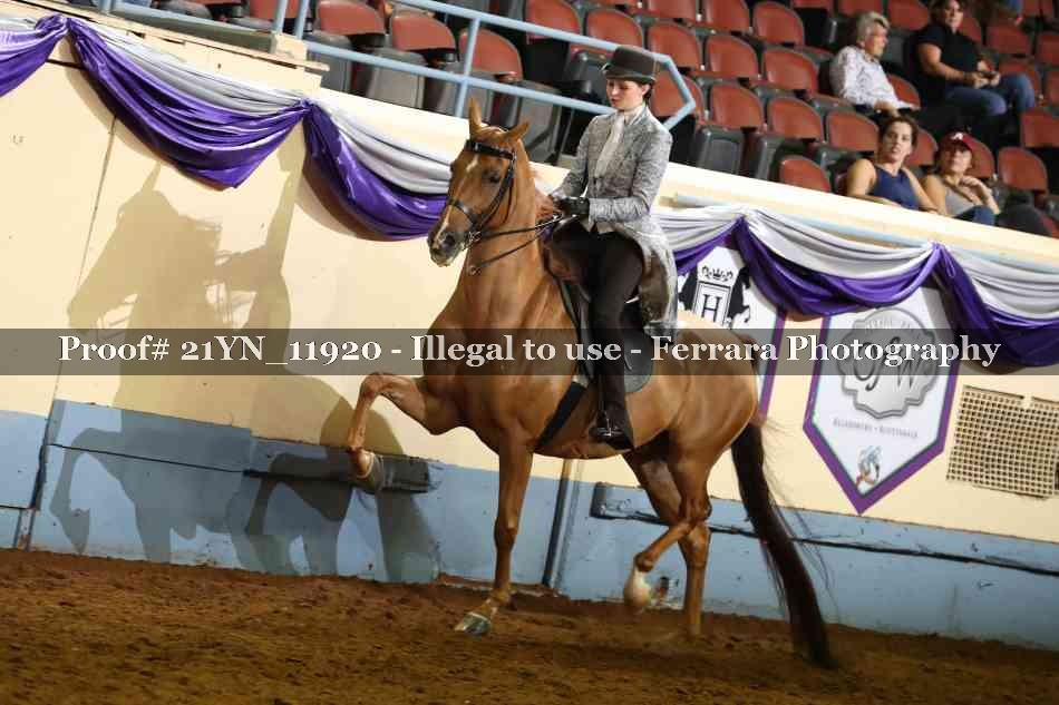 Proof 21YN_11920