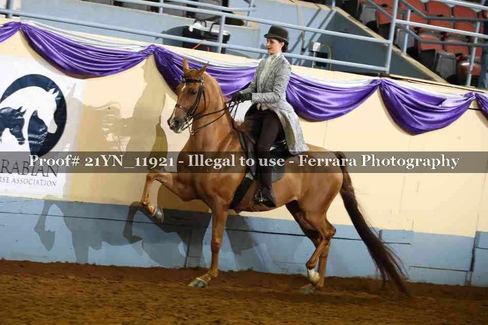 Proof 21YN_11921