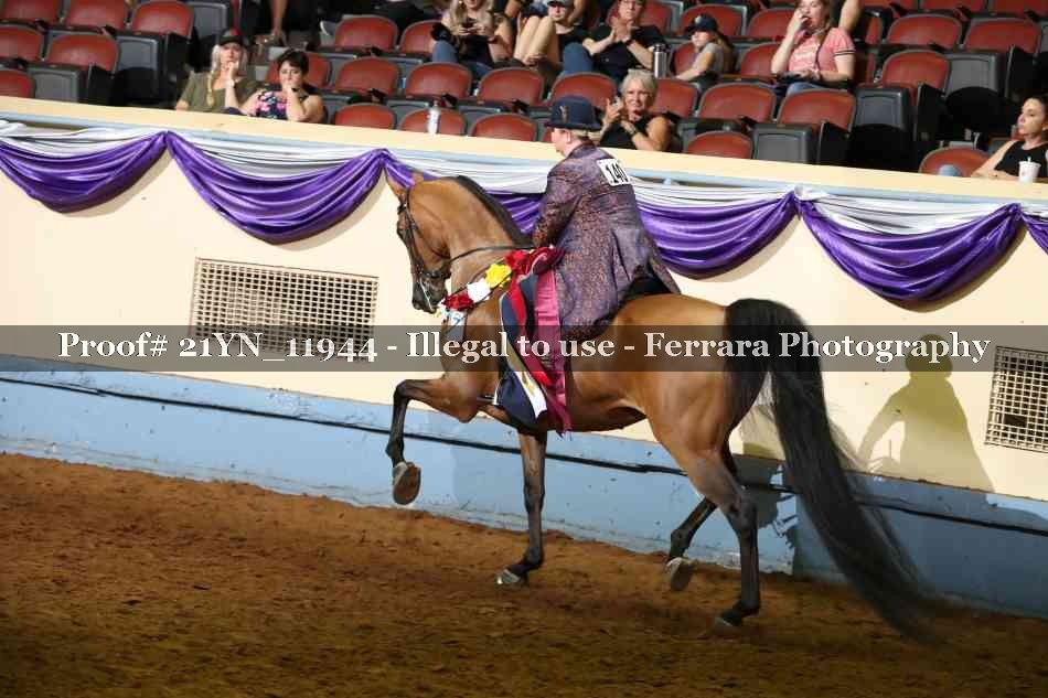 Proof 21YN_11944