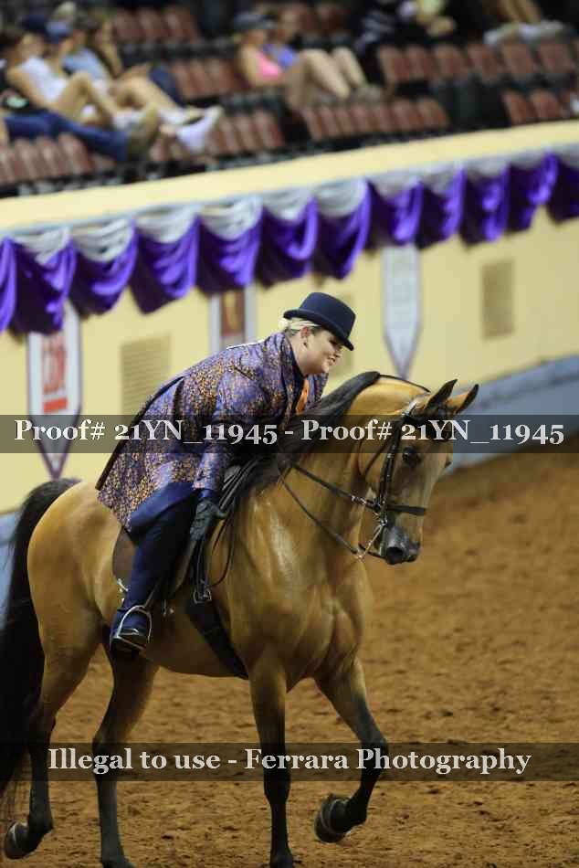Proof 21YN_11945