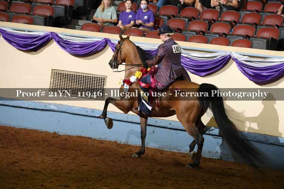 Proof 21YN_11946