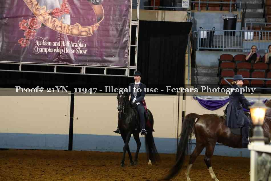 Proof 21YN_11947