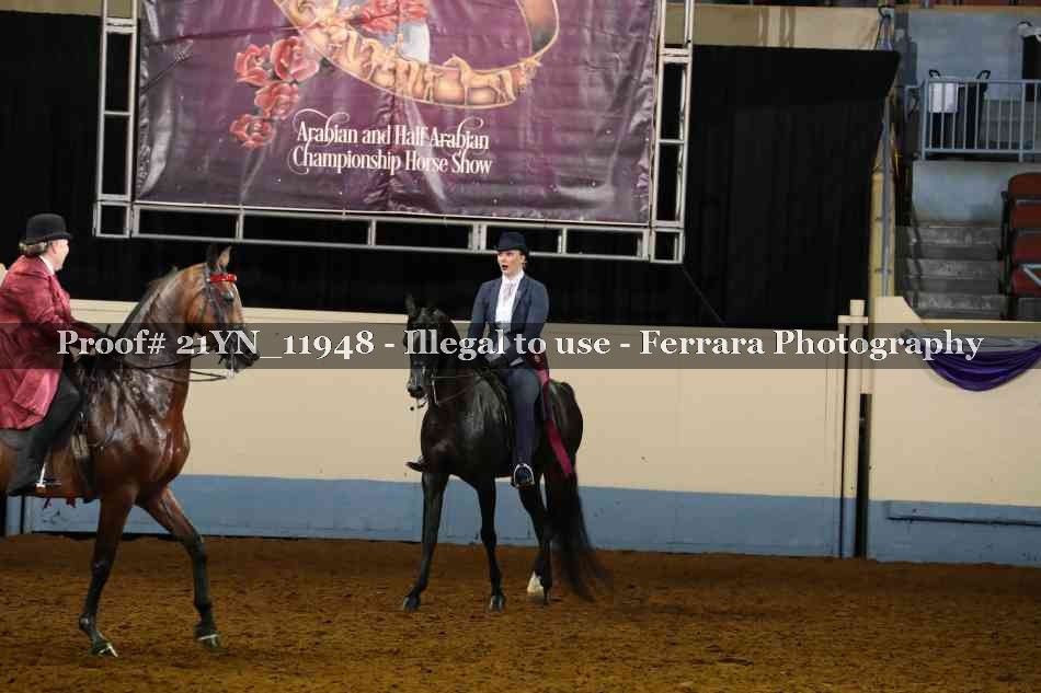 Proof 21YN_11948