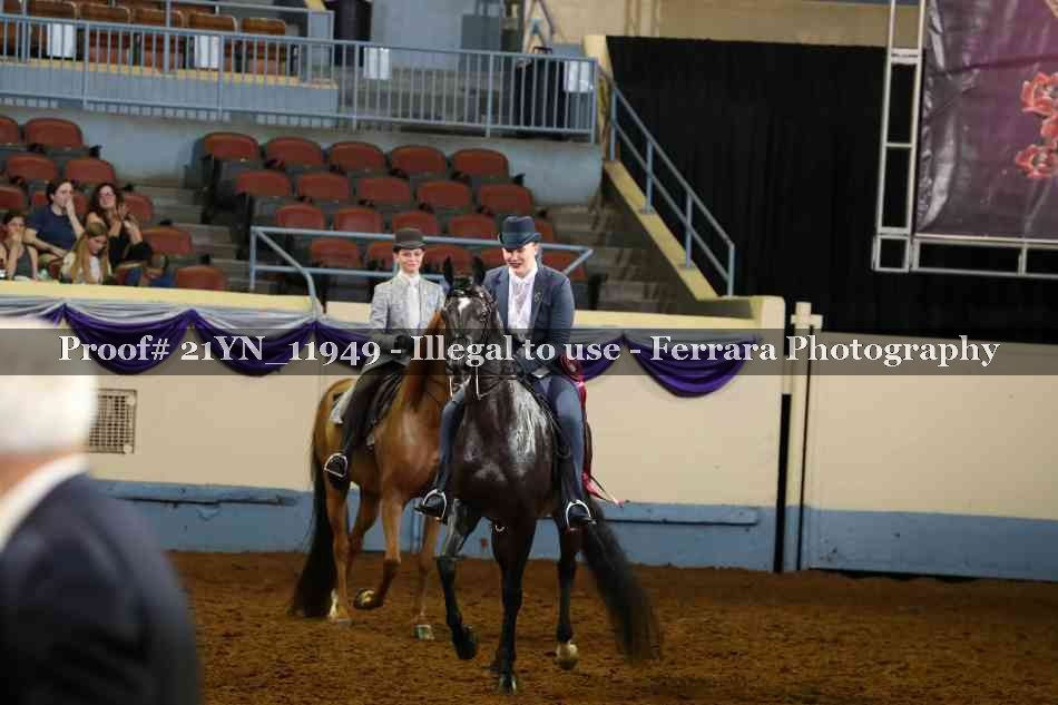 Proof 21YN_11949
