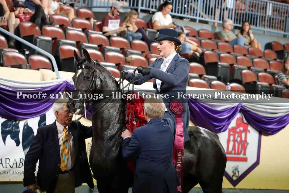 Proof 21YN_11952
