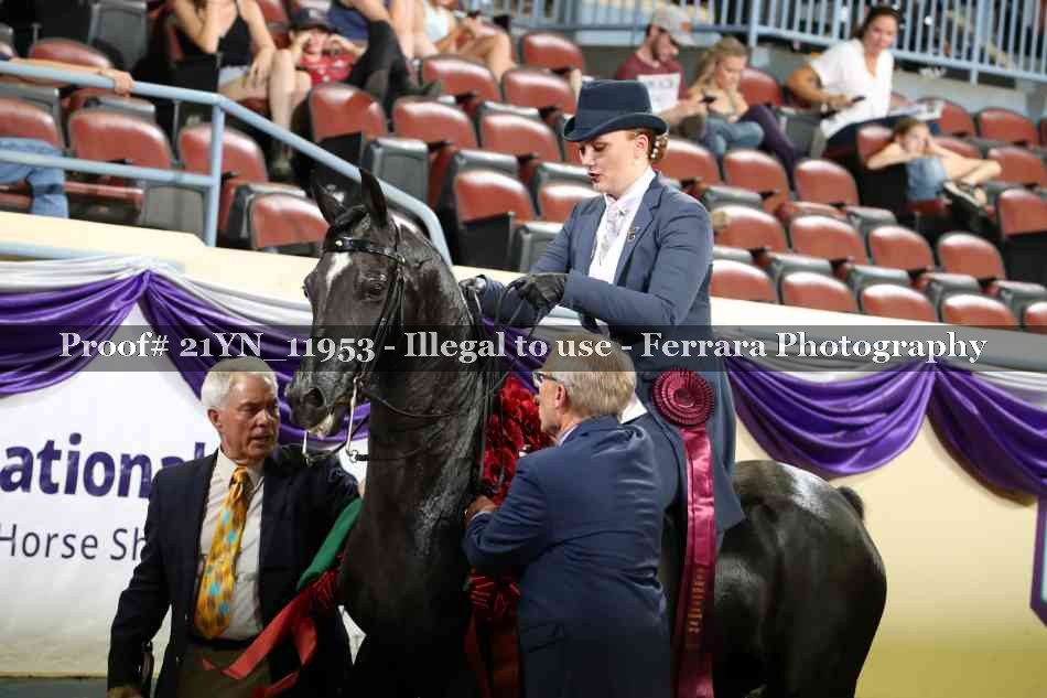 Proof 21YN_11953