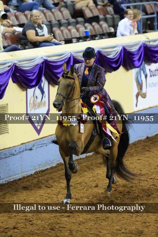 Proof 21YN_11955