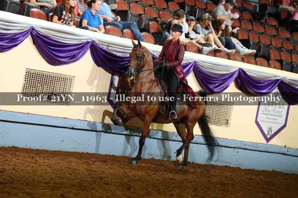 Proof 21YN_11963