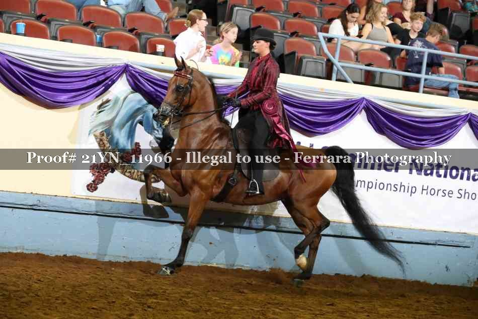 Proof 21YN_11966