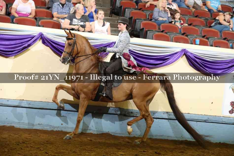 Proof 21YN_11971