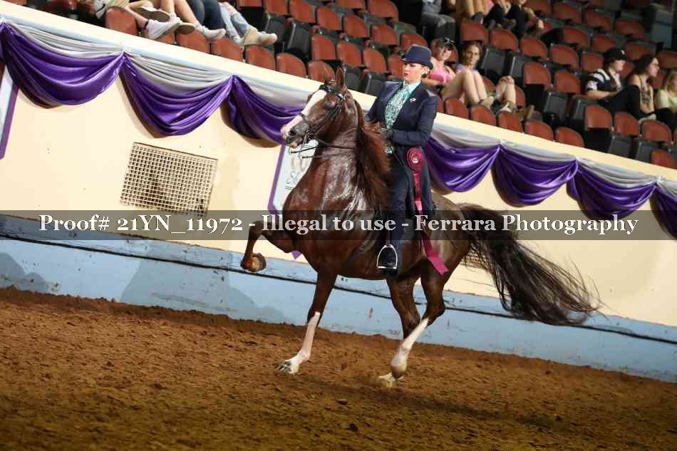 Proof 21YN_11972