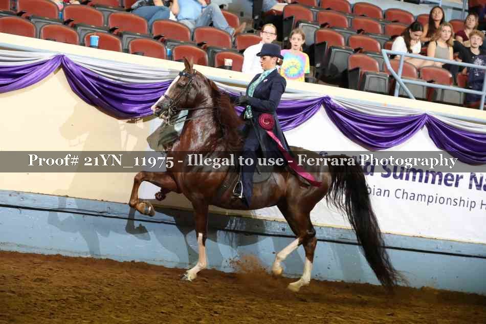 Proof 21YN_11975