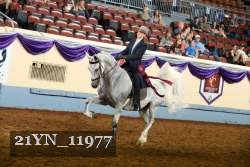 21YN_11977 proof