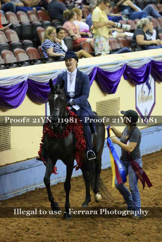 Proof 21YN_11981