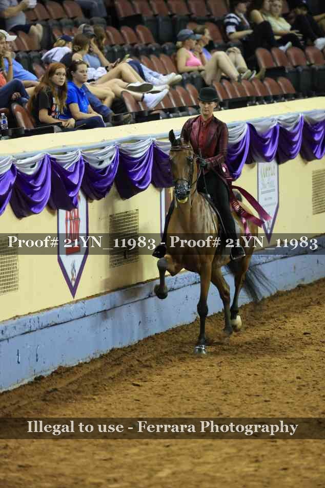 Proof 21YN_11983