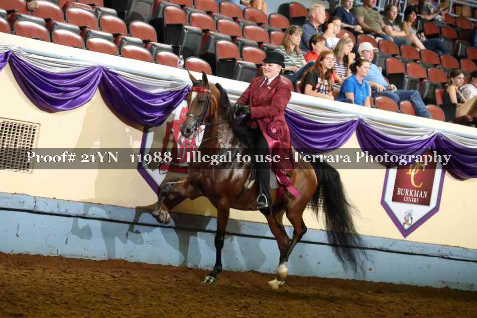 Proof 21YN_11988
