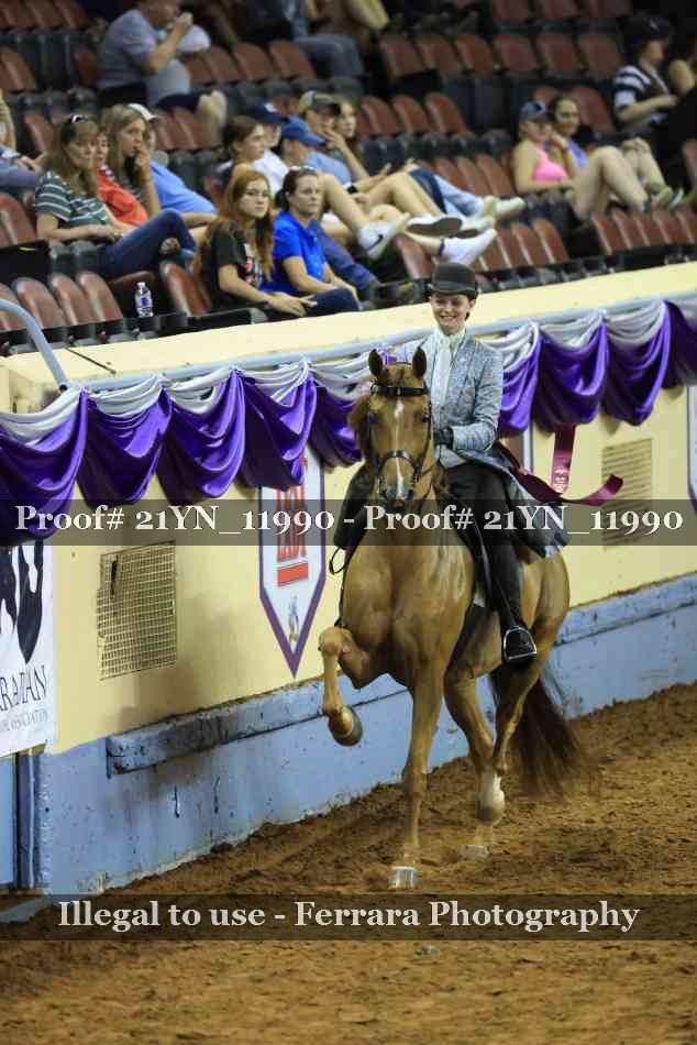 Proof 21YN_11990