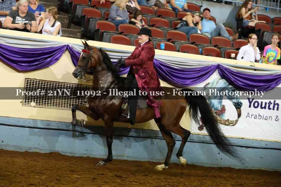 Proof 21YN_11992