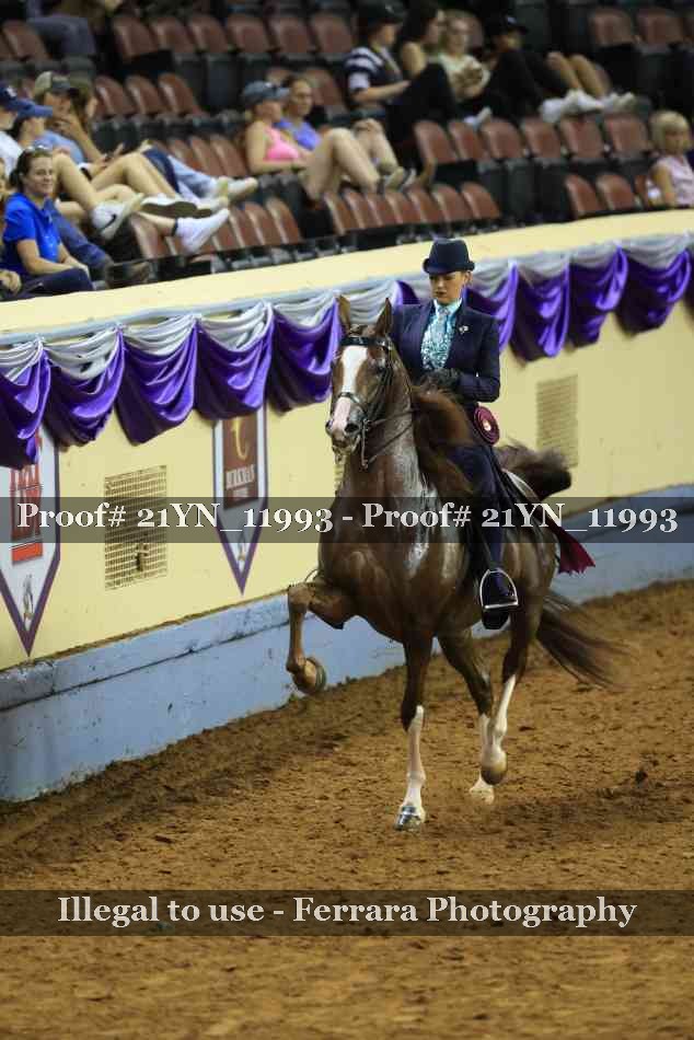 Proof 21YN_11993