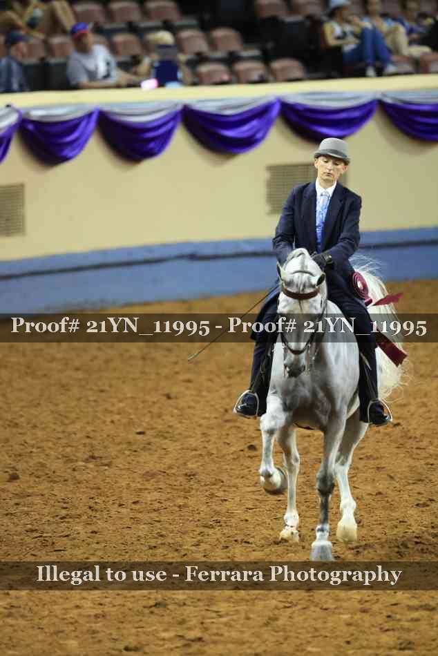 Proof 21YN_11995