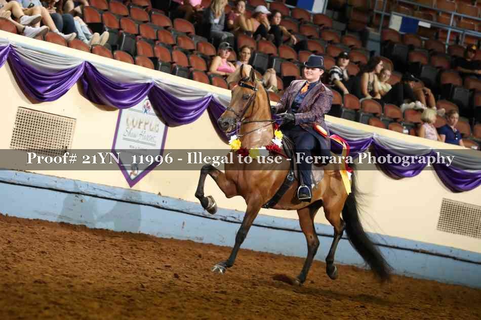 Proof 21YN_11996