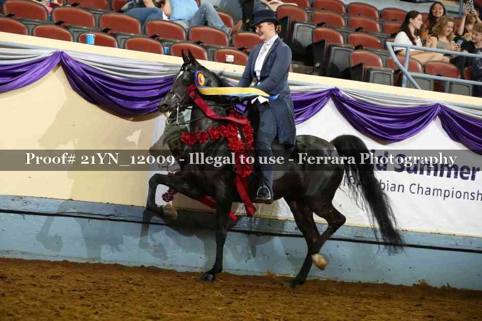 Proof 21YN_12009