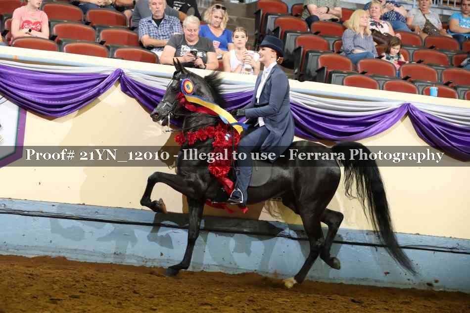 Proof 21YN_12010