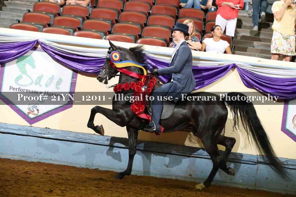 Proof 21YN_12011