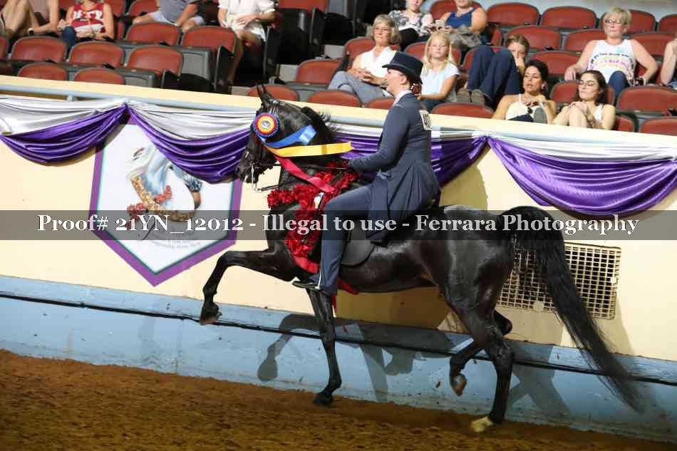 Proof 21YN_12012