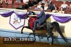 21YN_12012 proof