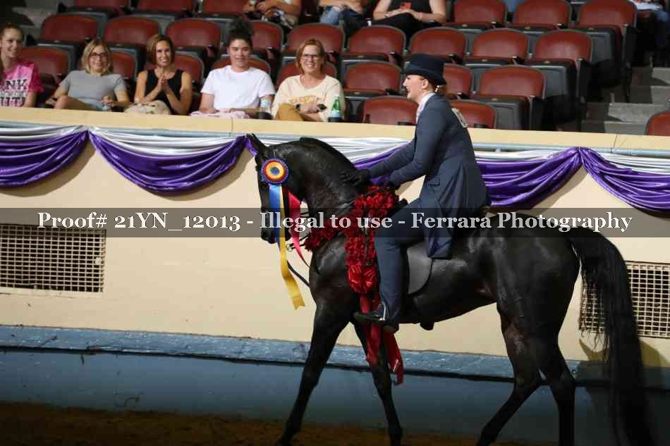 Proof 21YN_12013