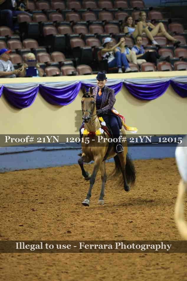 Proof 21YN_12015