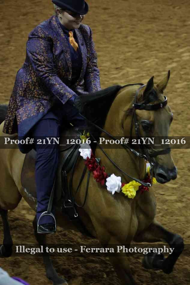Proof 21YN_12016