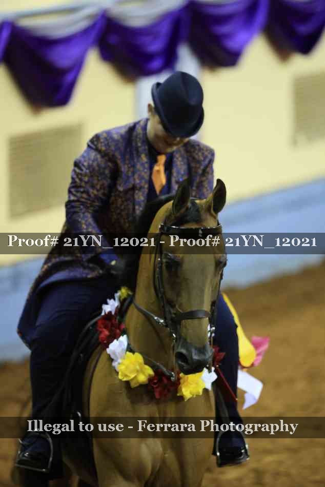 Proof 21YN_12021