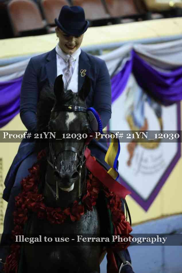 Proof 21YN_12030
